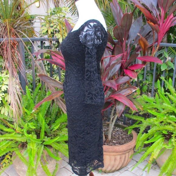 🍍3/$15🍍 INC International Concepts Lace 3/4 Sleeve Dress - Picture 6 of 7